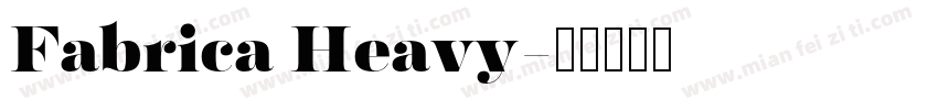 Fabrica Heavy字体转换